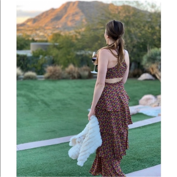 ALC Brown and Pink Sleeveless Maxi Sundress - Picture 4 of 11